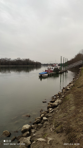 IMG 20210206 142846.jpg