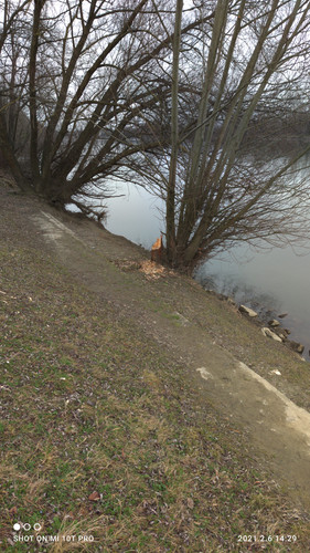 IMG 20210206 142942 1.jpg