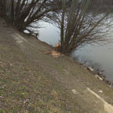 IMG 20210206 142942 1