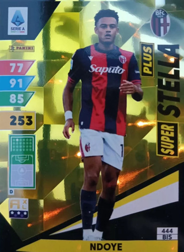 97.jpg