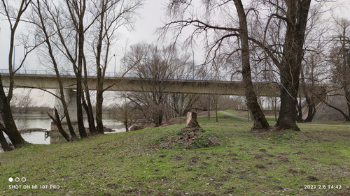 IMG 20210206 144208.jpg