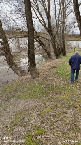 IMG 20210206 144040.jpg