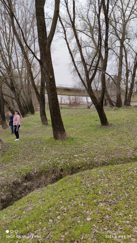 IMG 20210206 143930.jpg