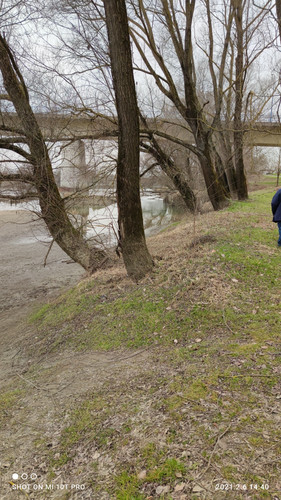 IMG 20210206 144043.jpg