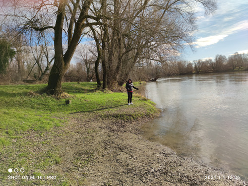 IMG 20210101 123629.jpg