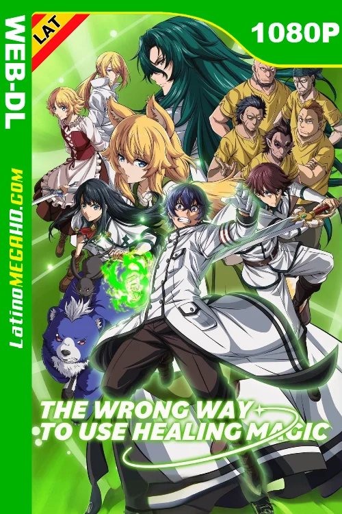 The Wrong Way to Use Healing Magic (Serie) Temporada 1 (2024) Latino HD CR WEB-DL 1080P