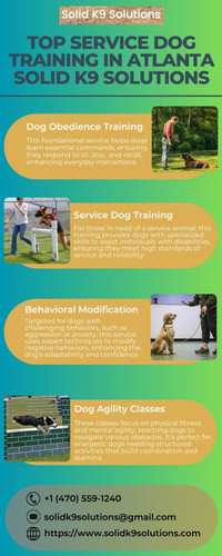 Top Service Dog Training in Atlanta Solid K9 Solutions.jpg