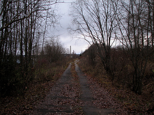IMG 0003 1.jpg