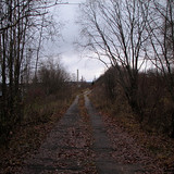 IMG 0003 1