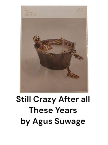 Still Crazy After all These Years.jpg