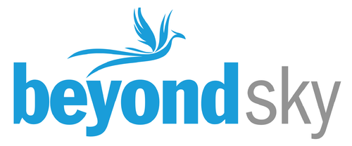 Largest Online B2B Drone Marketplace - Beyond SKY.png
