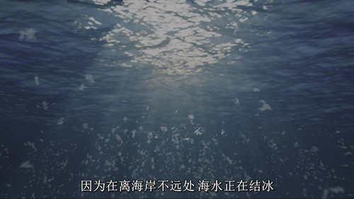 Our.Living.World.S01E01.2024.2160p.NF.WEB DL.DDP5.1.Atmos.DV.HDR.H.265 HHWEB.mkv 20250207 153006.991.png