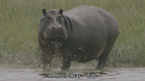 Our.Living.World.S01E01.2024.2160p.NF.WEB DL.DDP5.1.Atmos.DV.HDR.H.265 HHWEB.mkv 20250207 153012.191.png