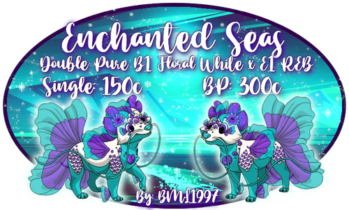 enchanted seas