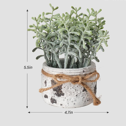 7162W2Vy BL. AC SL1500 .jpg