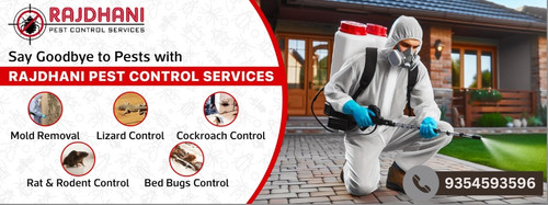 Best Pest Control Services in Noida | Quick & Safe Solutions.jpg
