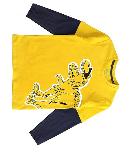 81xpa mKsLL. SX679 .jpg