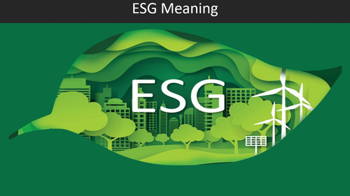 ESG Meaning.jpg