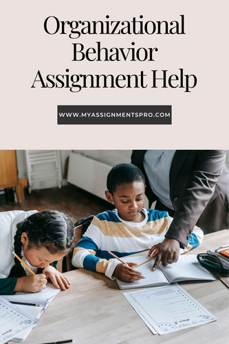 organizational behavior assignment help.jpg