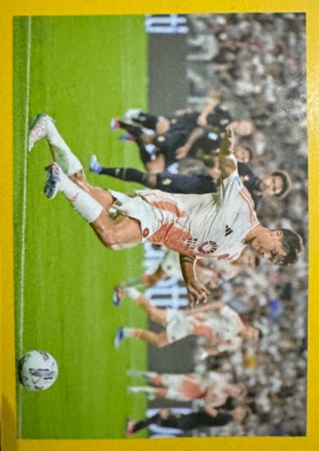 185.jpg