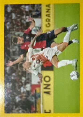 156.jpg