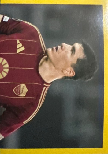 175.jpg