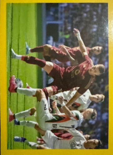 166.jpg