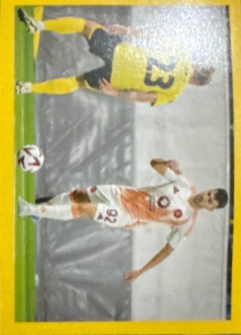 196.jpg