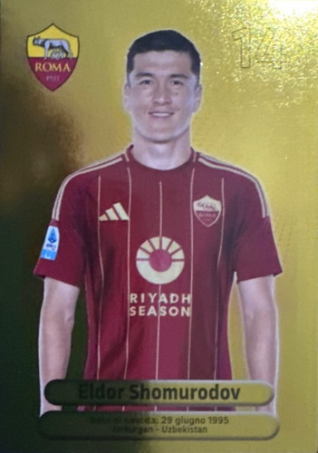 238.jpg