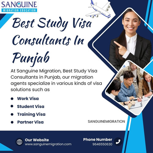 Best Study Visa Consultants In Punjab.jpg