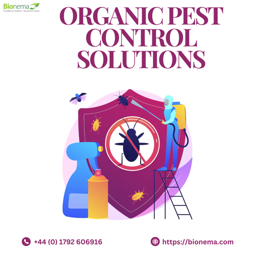 Organic Pest Control Solutions for a Healthier Environment.png
