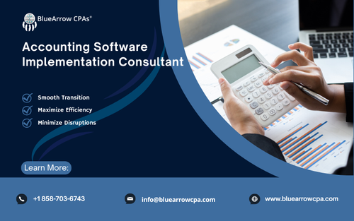 Accounting Software Implementation Consultant.png