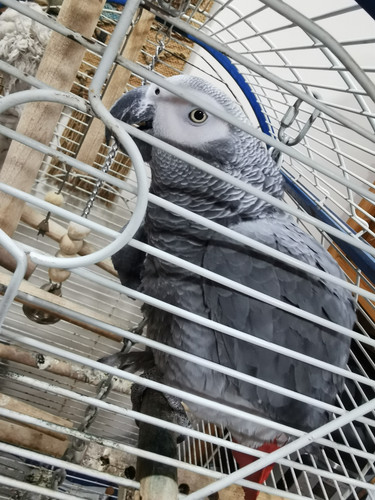 IMG 20250206 185409.jpg