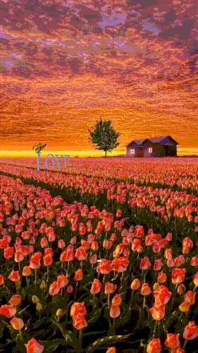 71e8adff17ef7e40626bb09f7a639f8d.gif