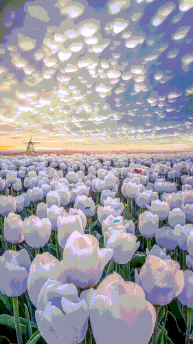 6cc23ff28ddd6d23200c875222d53bee.gif
