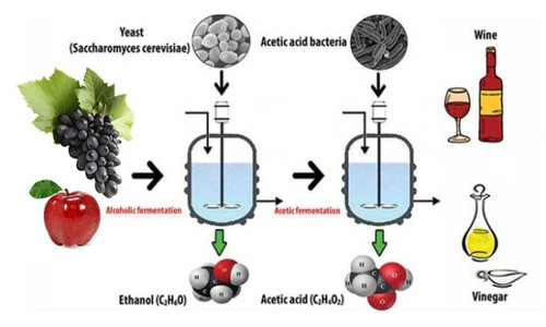 vinegar 1