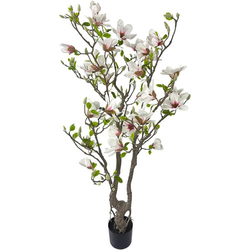 61OpLXbkKzL. AC SL1200 .jpg