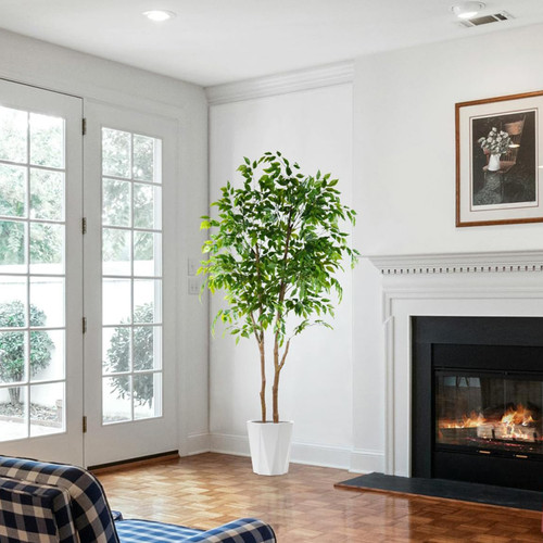 71hD7eRABML. AC SL1250 .jpg