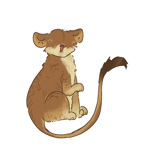 Untitled1492 20250206165201.png