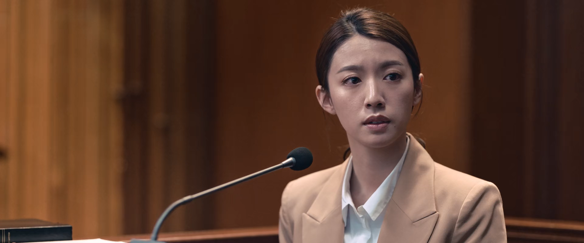 Screenshot of The Prosecutor  Full HD Hindi ORG (2024) &bull; Hindi, chinese, Multi Audio on MovieLinkBD