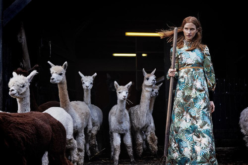 Shot06 408 1000x667q2