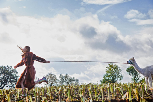 Shot02 243 1800x1200q2