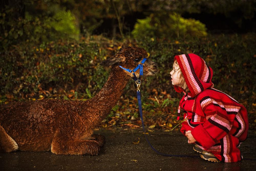 Shot04 353 1000x667q2