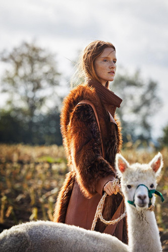 Shot02 342 1000x1500q2