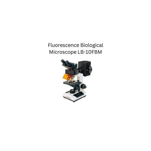Fluorescence Biological Microscope LB 10FBM.jpg