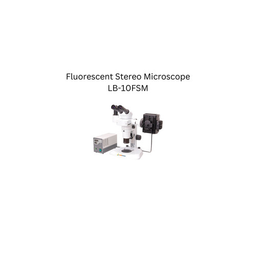 Fluorescent Stereo Microscope LB 10FSM.jpg