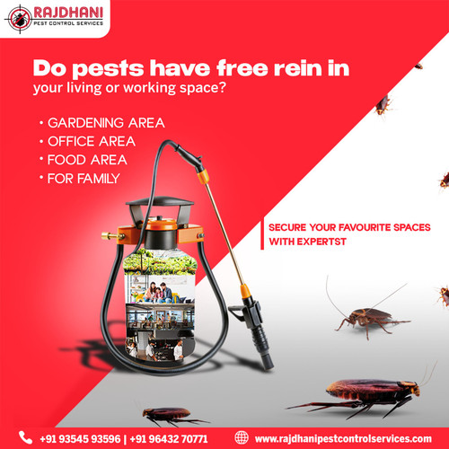 Best Pest Control Services in Noida | Quick & Safe Solutions.jpg