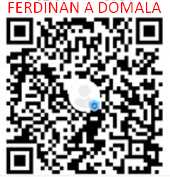 FERDINAN A DOMALA.png