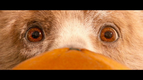 photo 1 2025 02 06 14 12 40.jpg