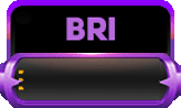 bri error romawi.gif